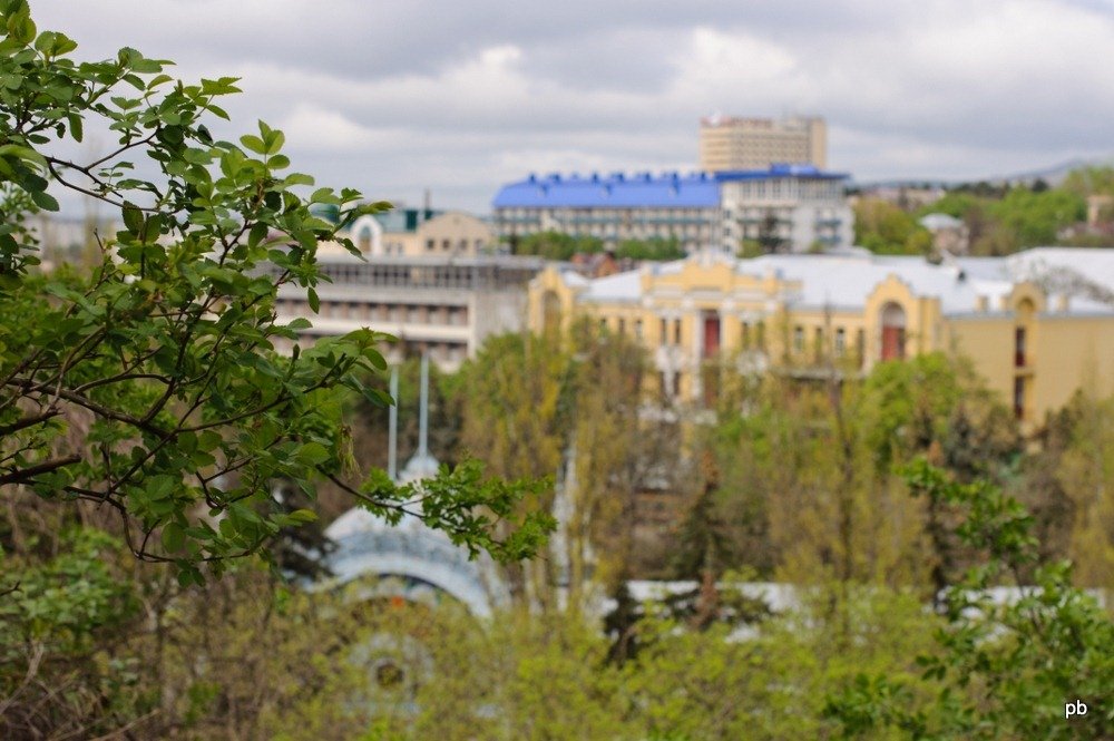 Фото Цветника в Пятигорске